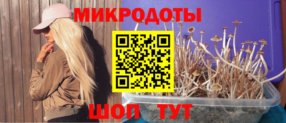 цены наркотик  Псилоцибиновые грибы ЛСД  Вход с VPN  Канск 